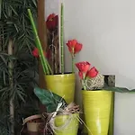 Frühstückspension La Mesnagerie