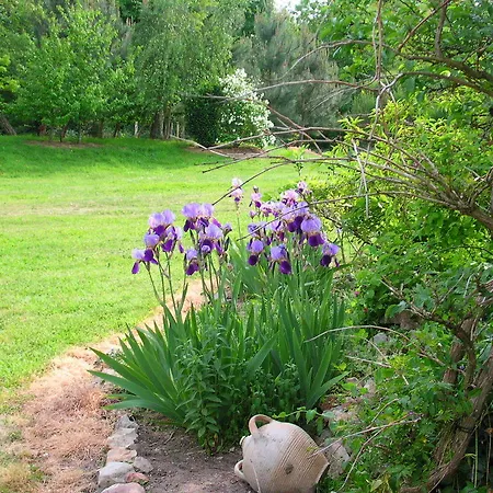 Bed & Breakfast La Mesnagerie