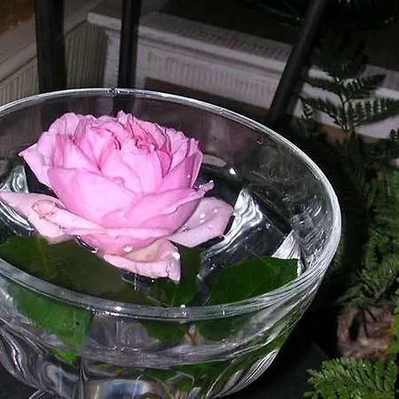 La Mesnagerie Jarzé