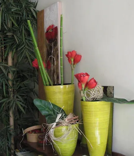 Couette-café La Mesnagerie