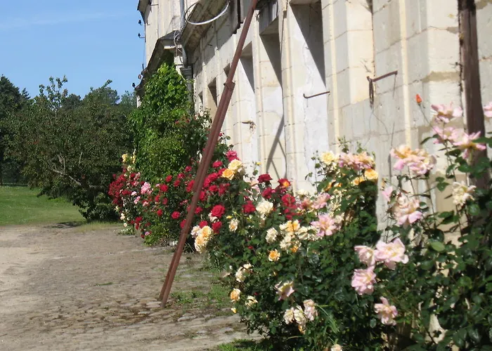 Alojamento de Acomodação e Pequeno-almoço La Mesnagerie Jarzé