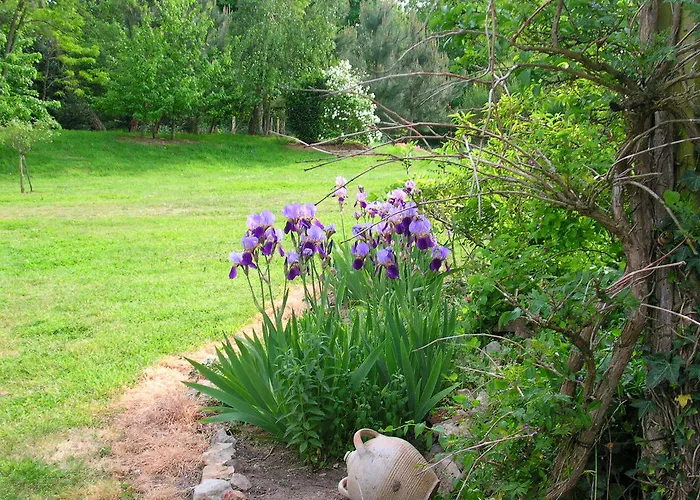 Couette-café La Mesnagerie