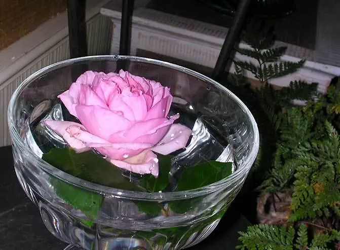 La Mesnagerie Jarzé